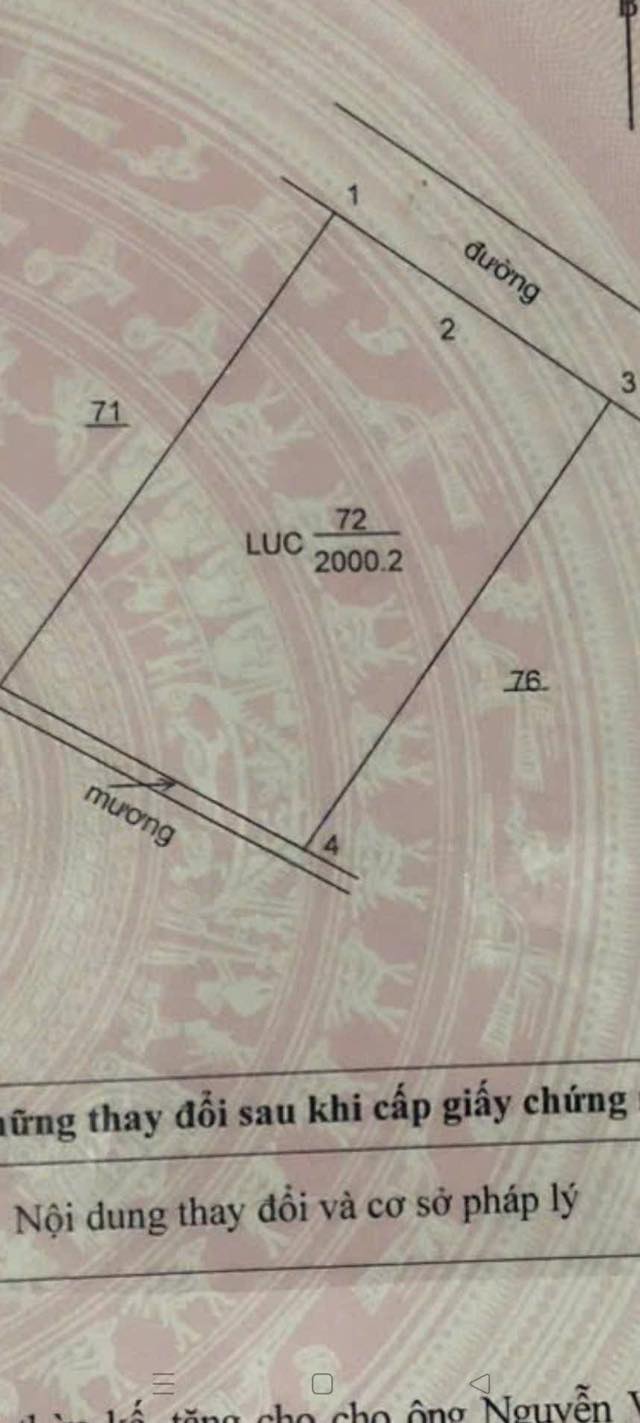 Bán Gấp Đất Vườn 2000m² Quốc Oai - Sẵn Sàng Đầu Tư Sinh Lời