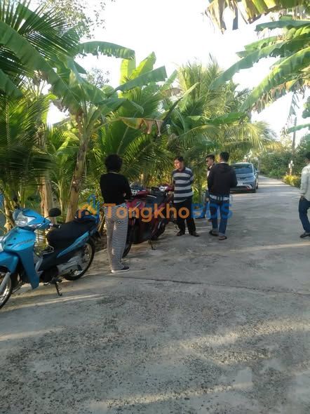 Đất Vườn Cần Thơ 740m² Bên Sông Giá 1.25 Tỷ - Cơ Hội Đầu Tư Sinh Lời