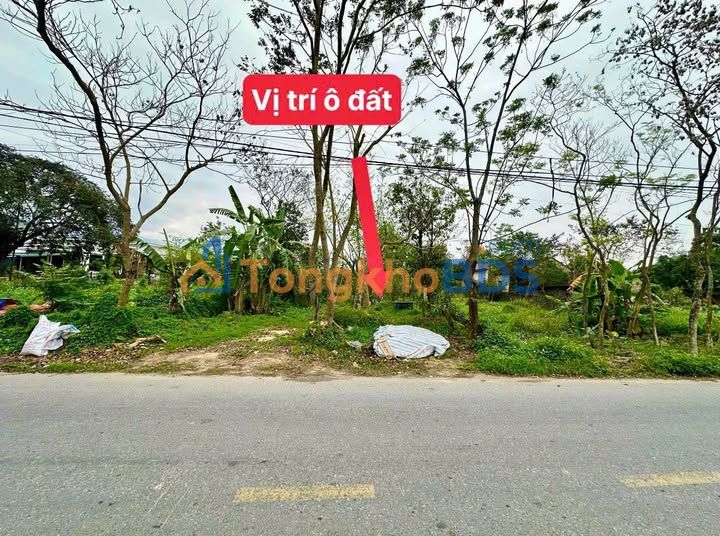 Đất nền kinh doanh trục chính Đại Đình, Tam Đảo 127.6m² - 1.x tỷ