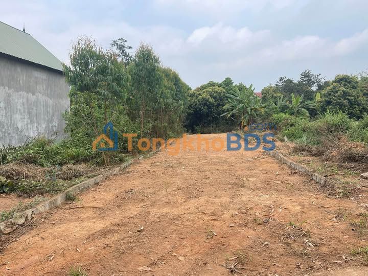 Đất Vĩnh Phúc 149m² - Sổ Đỏ Rõ Ràng, Cách KCN Tam Dương 400m