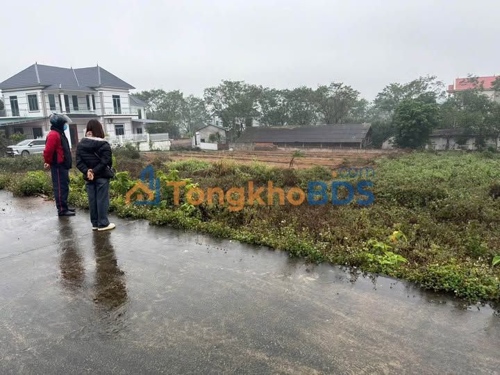 Bán Đất Nền Tam Quan, Tam Đảo - 235m² - Sổ Đỏ Riêng Từng Lô