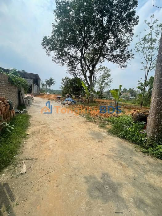 Đất Lập Thạch Vĩnh Phúc 214m² - Hơn 500 Triệu, Sổ Hồng Sẵn Sàng