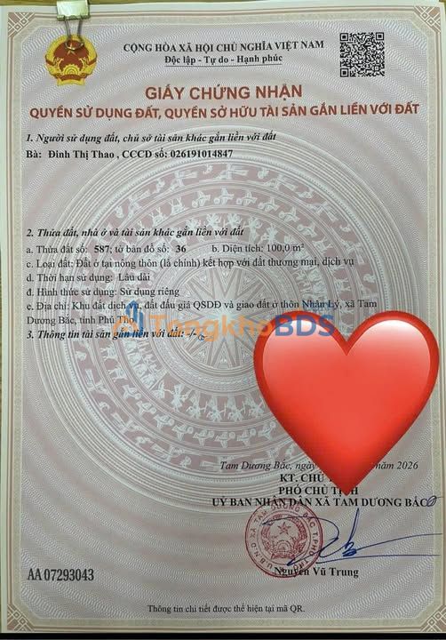 Đất đấu giá Tam Đảo 100m² - Sổ đỏ sẵn sàng, giá 1.4 tỷ/lô