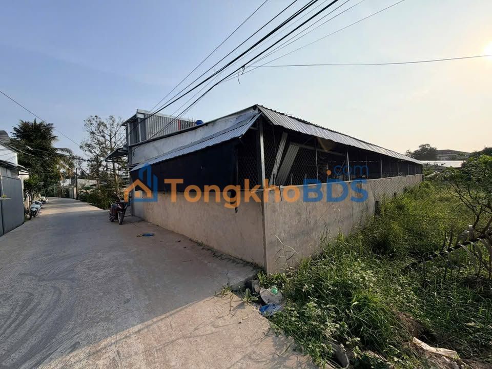 Bán Đất Vườn 800m² Cần Thơ - Sổ Sẵn, Giá Đầu Tư