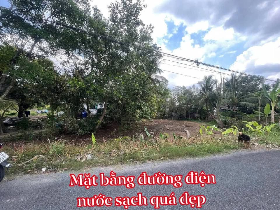 Đất Nền Vĩnh Long Giá Tốt - Gần KCN QL54, Sẵn Nền