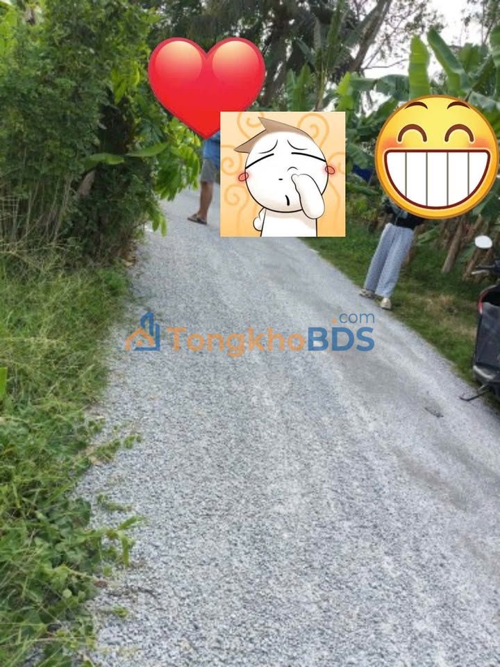 Bán Đất Cần Thơ 891m² - Sổ Đỏ Sẵn Sàng, Gần Cầu Cái Cam