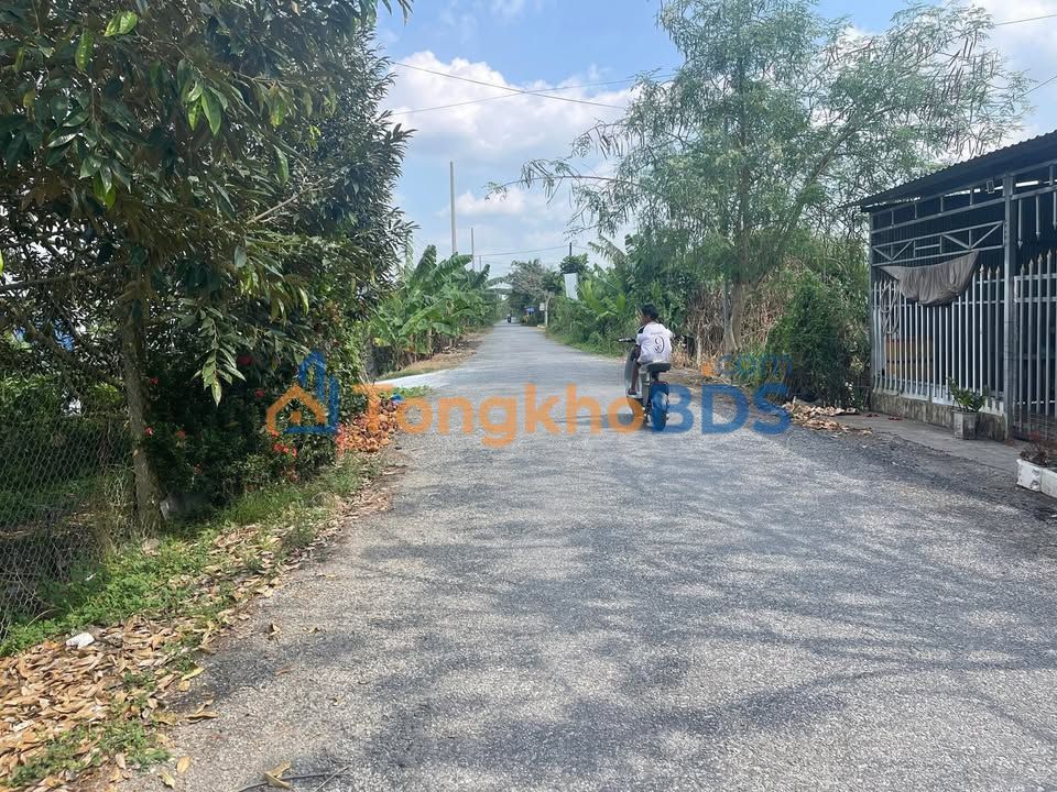 Bán Gấp 5 Công Vườn Sầu Riêng 9 Năm Tuổi Phong Điền - 17 Tỷ