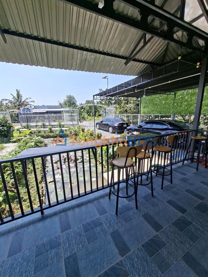 Bán Gấp Vườn Nghỉ Dưỡng 3666m² Cần Thơ - 97 Gốc Sầu Riêng 3 Năm Tuổi