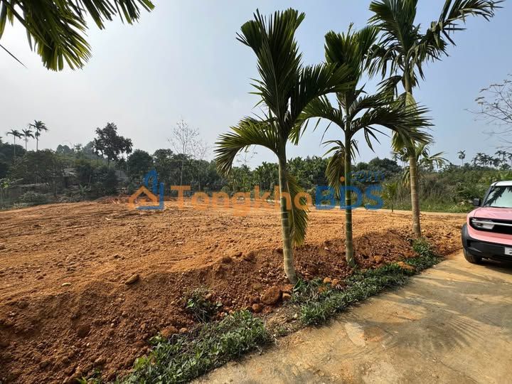 Đất thổ cư 125m² Xã An Lương, Văn Chấn - Sổ hồng sẵn, giá đầu tư