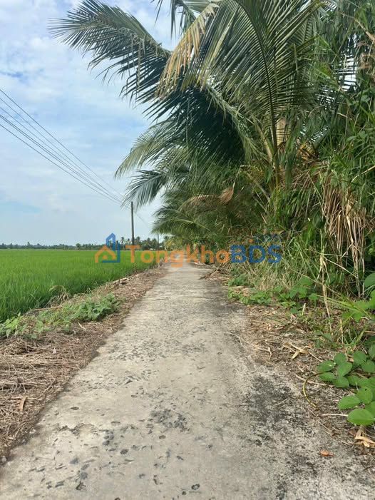 Đất xã Hỏa Lựu Vị Thanh 600m² 270 triệu - Giá đầu tư tốt