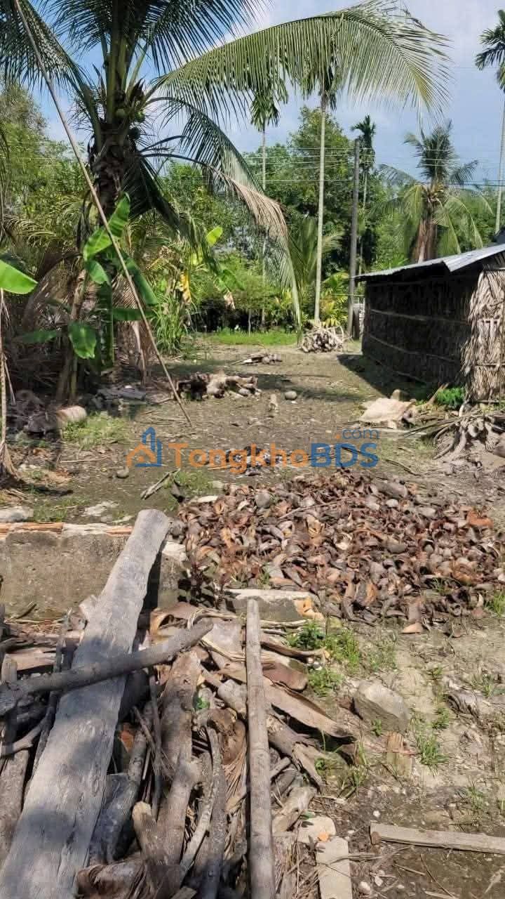 Bán Đất Vị Thủy Hậu Giang 480m² - Lộ 2.5m, Giá 450 Triệu