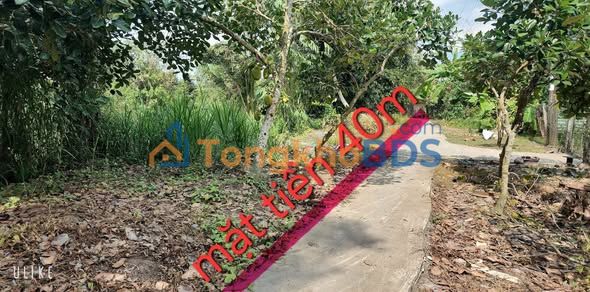 Đất Nền 232m² Mặt Tiền Sông Kinh KH9, Phong Điền, Cần Thơ - Giá 199 Triệu