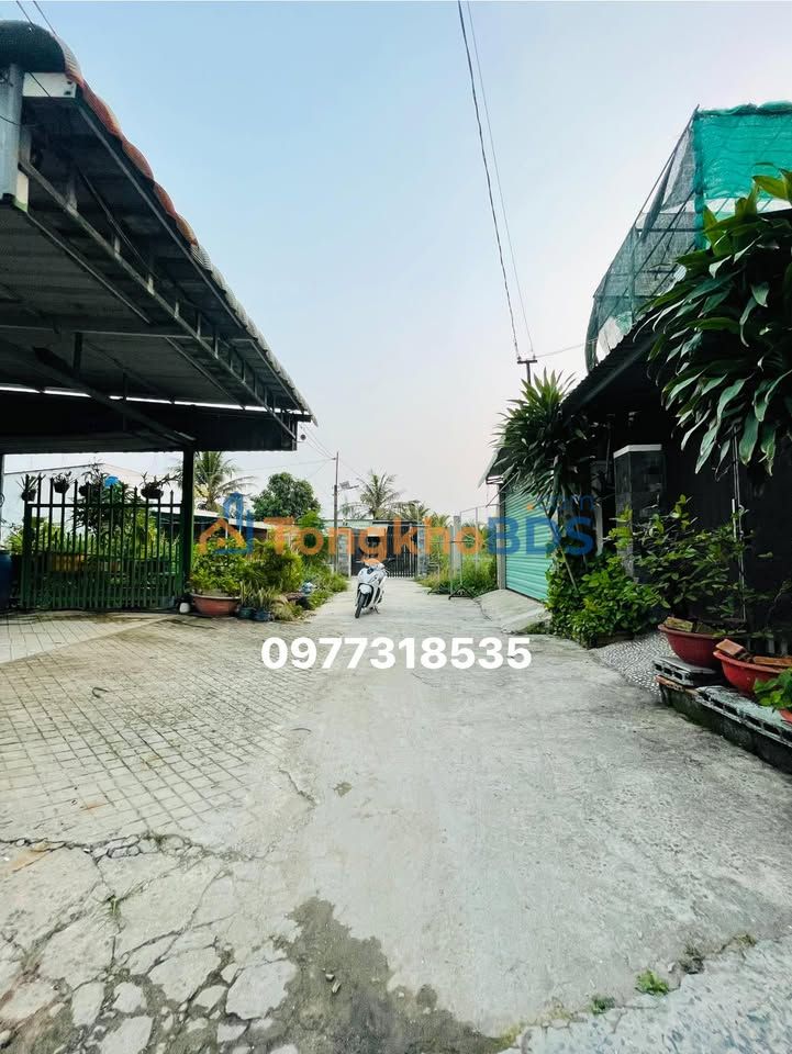 Đất Nền Sổ Hồng Riêng Xã Mỹ Hạnh Nam, Đức Hòa - 200m² Giá Tốt