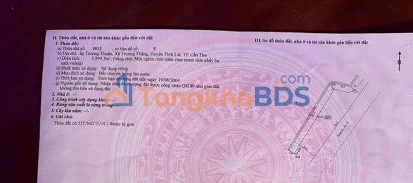 Đất Vườn Nhãn 2000m² Thới Lai - Mặt Tiền Sông, Giá 800 Triệu