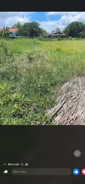 Đất Vàng Bình Đại - 4900m² Mặt Tiền QL57B, Bến Tre - Giá 17 Tỷ