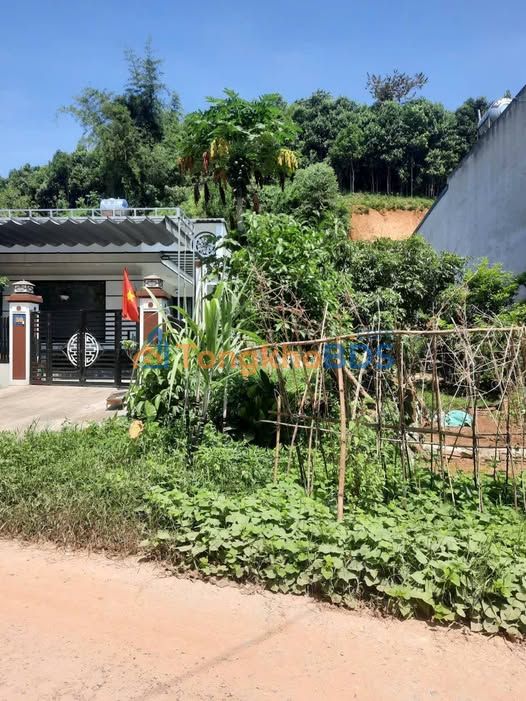 Đất nền Nam Cường 110m² 9xx triệu - Thổ cư 100%