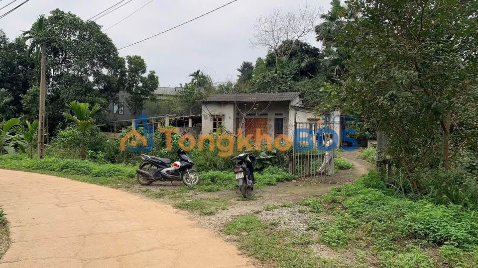 Đất nền Yên Thịnh 1000m² 2.5 tỷ - Tiềm năng tăng giá