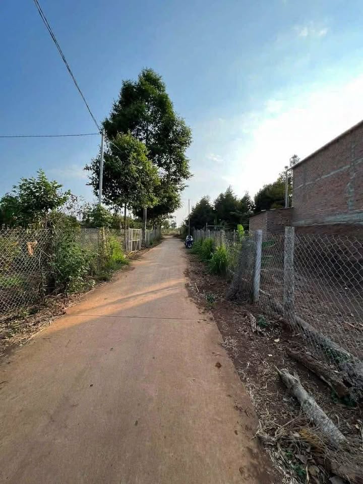 Bán Đất Vườn 2100m² Sầu Riêng Thái - Cẩm Mỹ, Đồng Nai - Giá Tốt