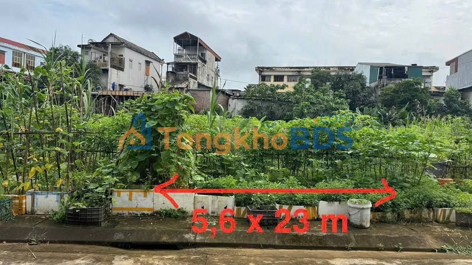 Đất nền 100m² Công Viên Đồng Tâm, Yên Bái - Sổ đỏ sẵn, giá 2.59 tỷ