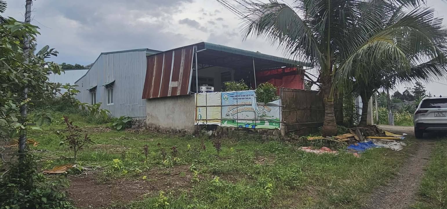 Đất Thổ Cư Phú Yên 280m² - Sổ Hồng Sẵn Sàng - Giá 8xx Triệu