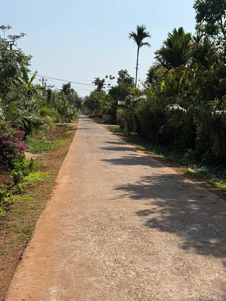 Đất Nền Cư M'gar - 800m² Sổ Hồng Sẵn Sàng, Giá F0 Chỉ 390 Triệu