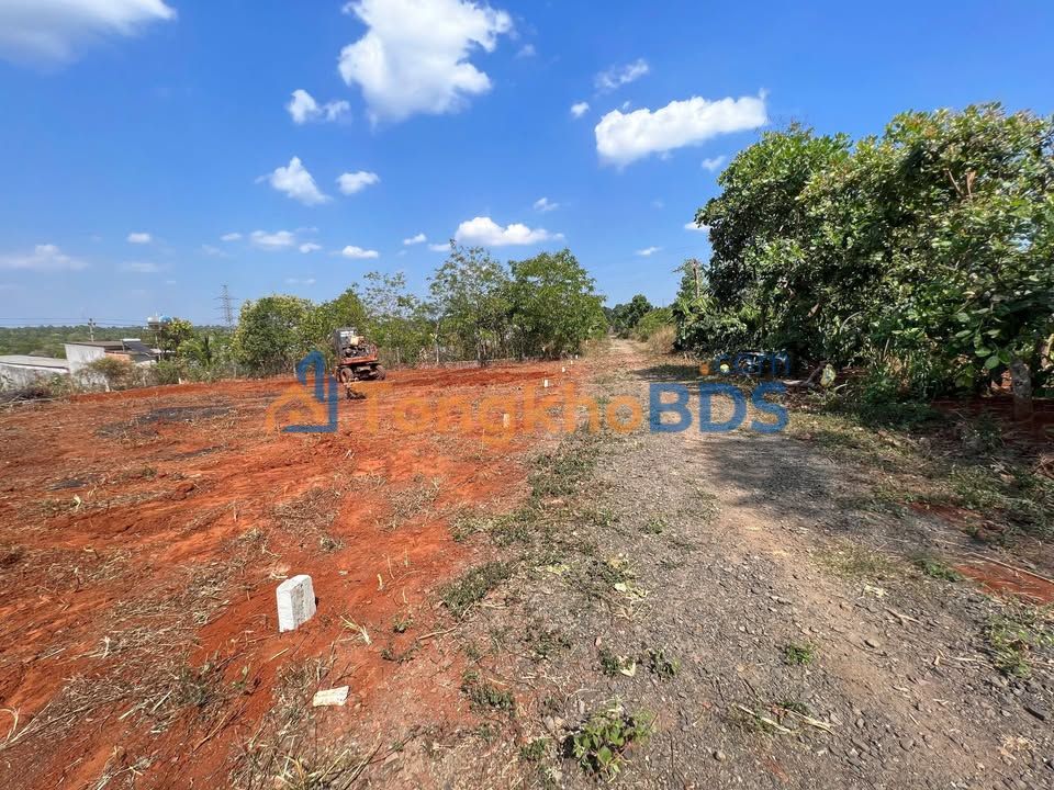 Đất nền Ymoan - Cư M'gar: 100m² - Giá 2.39 Tỷ - Lô Đẹp Nhất Khu Vực