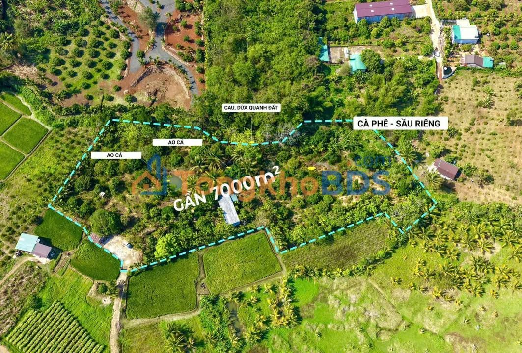 Đất Vườn Nghỉ Dưỡng 6300m² view đồng, có ao, T.P Buôn Ma Thuột - Giá Tốt