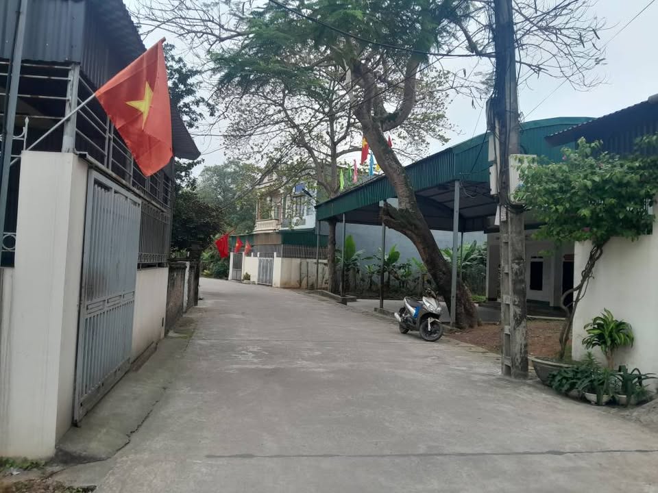 Đất Nền Việt Trì 95m² - Vị Trí Vàng, Sẵn Sổ Hồng, Giá Tốt