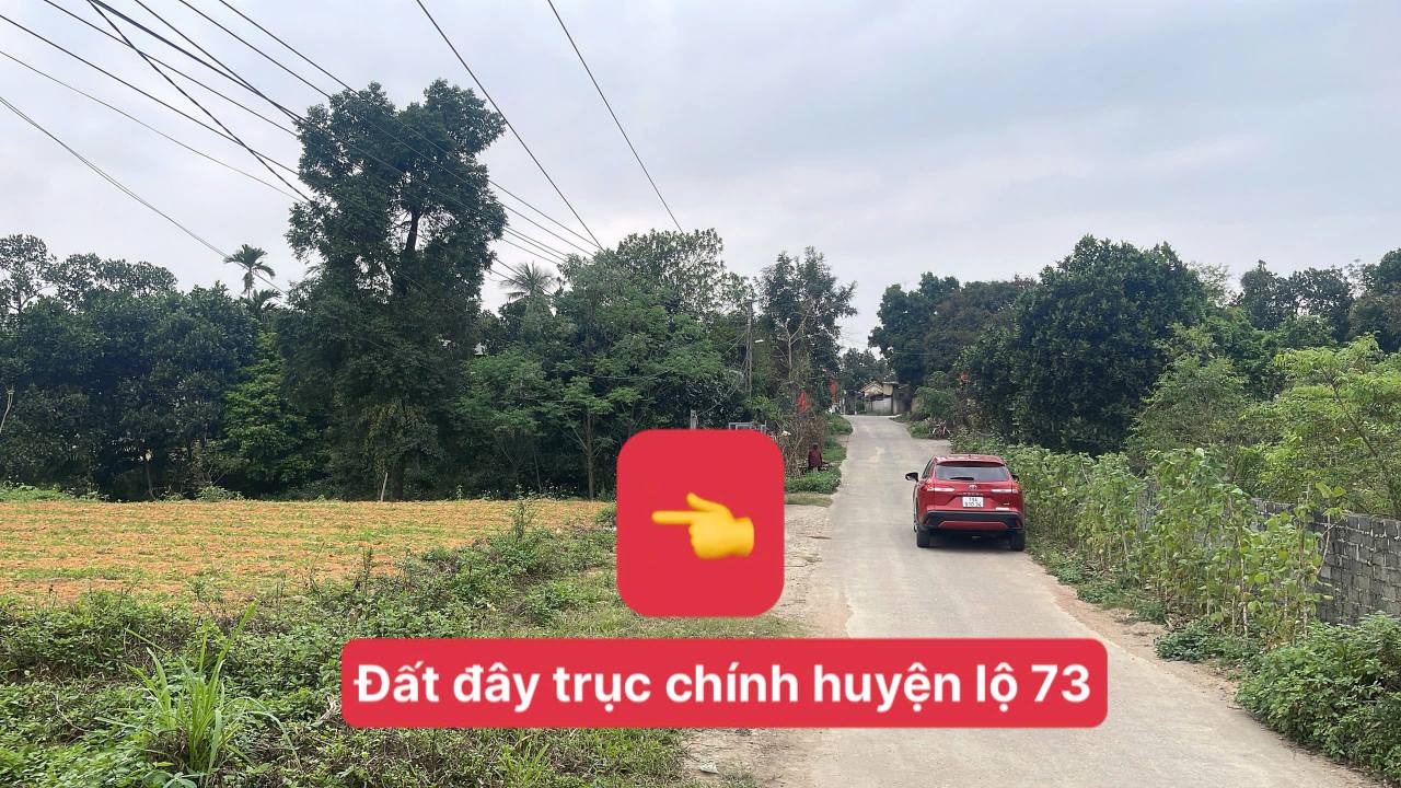 Bán Đất Liền Kề 130m² Tam Nông, Phú Thọ - Ngay Trục Chính Huyện Lộ 73