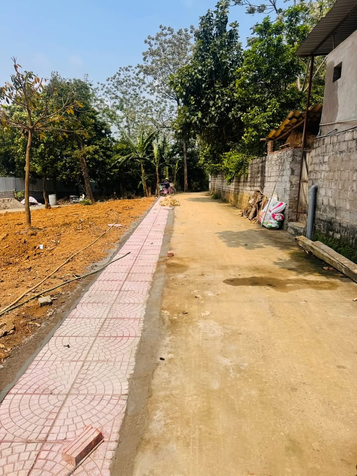 Đất nền 100m² 2 mặt tiền, Xã Tân Bình, Vĩnh Cửu - Giá 2 tỷ