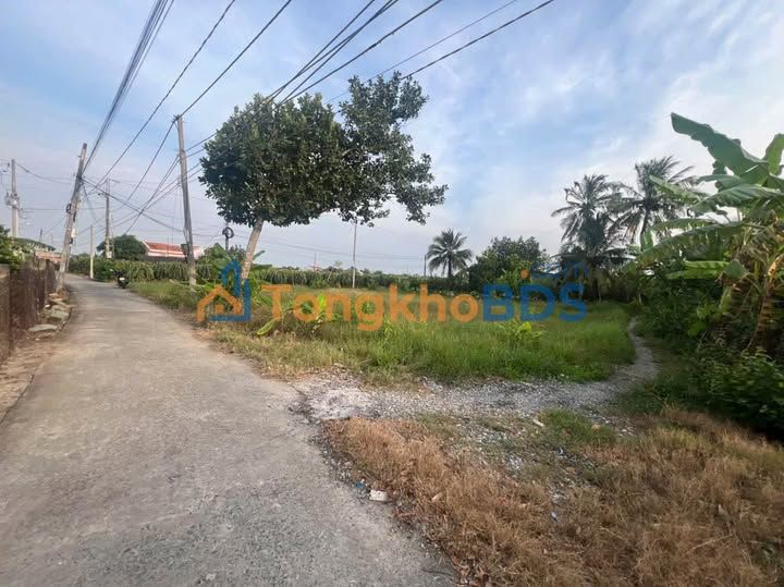 Đất thổ cư 165m² Sổ hồng riêng - Chợ Thanh Phú Long 500m