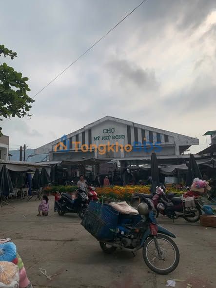 Đất lúa Tây Phú 50 công 10-14.95 tỷ - Tiềm năng tăng giá