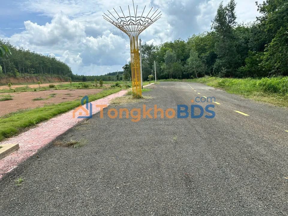 Đất Thổ Cư Đồng Phú - 249m² Sổ Sẵn, Giá 230 Triệu