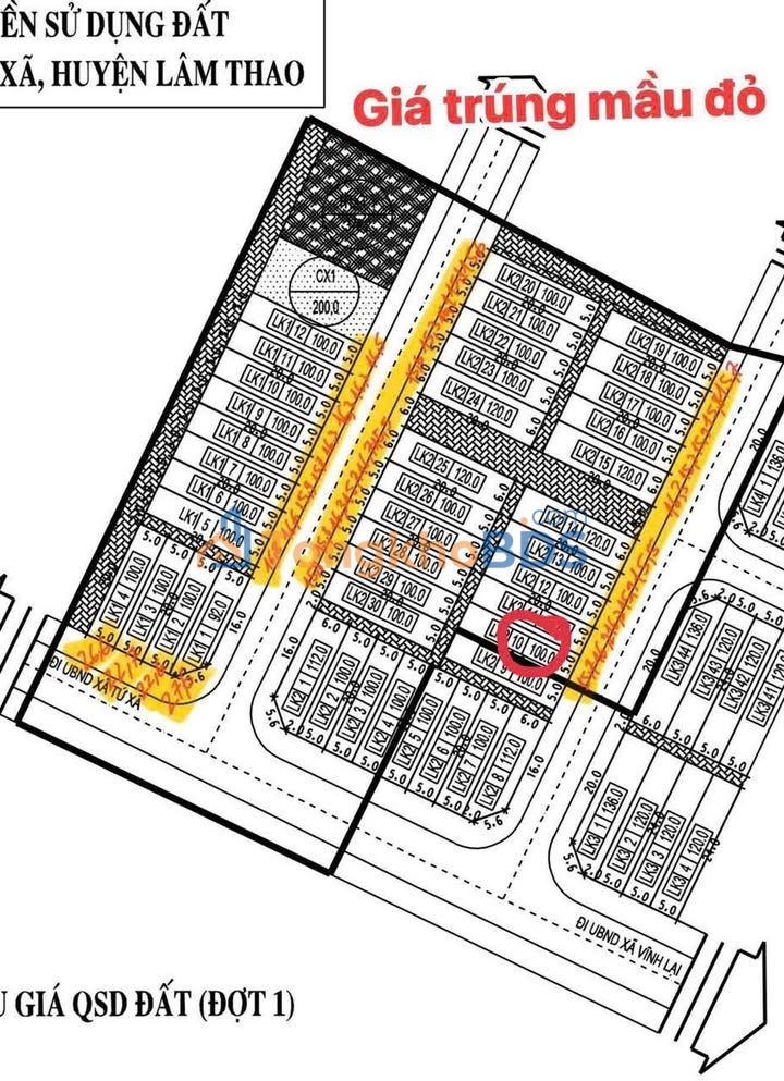Bán Đất Đấu Giá Xã Trung Tú, Ứng Hòa - 100m² Hướng Đông Nam, Giá 1.6 Tỷ