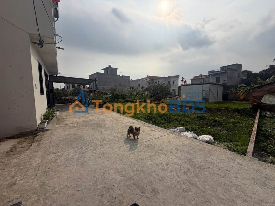 Đất Sóc Sơn 53m² - Sổ Đỏ Chính Chủ, Đường 6m Ô Tô Tránh