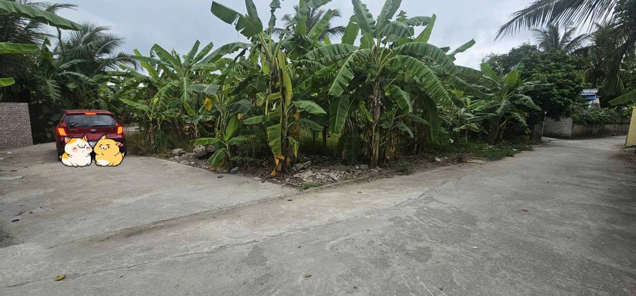 Đất nền An Lão Hải Phòng 67m² sổ đỏ - Sẵn sàng xây nhà