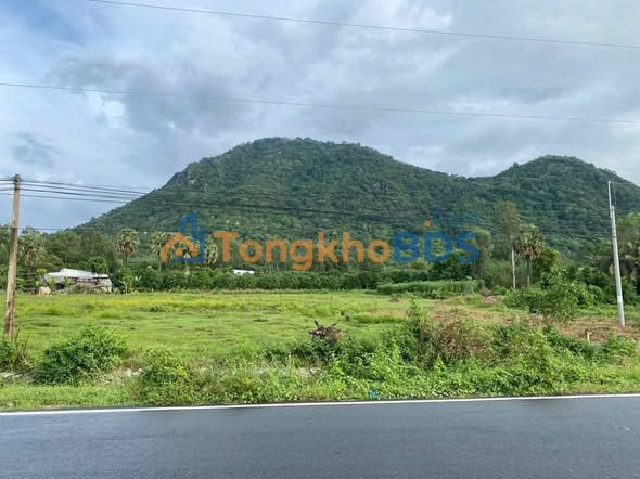 Đất Cao Lãnh Tri Tôn 585m² giá 900 triệu - Sổ đỏ chính chủ, đất an cư