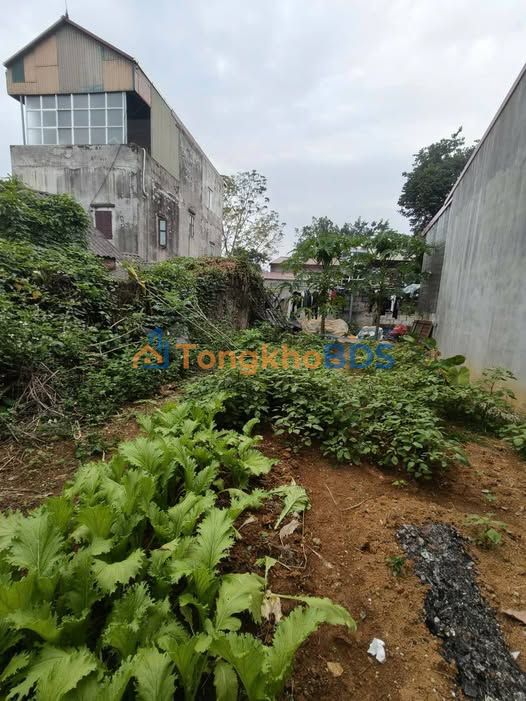 Đất Nền Lạng Sơn 100m² - Vị Trí Trung Tâm, Sổ Đỏ Sẵn Sàng