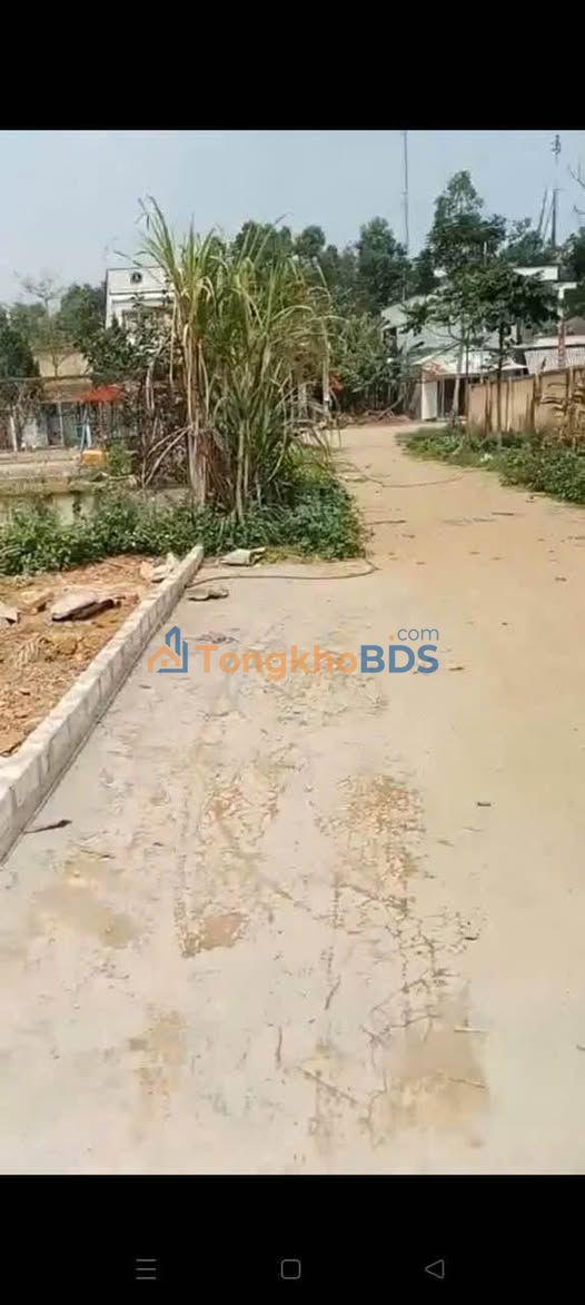 Đất nền Bạch Hà Yên Bái 100m² 300 triệu - Sổ đỏ chính chủ