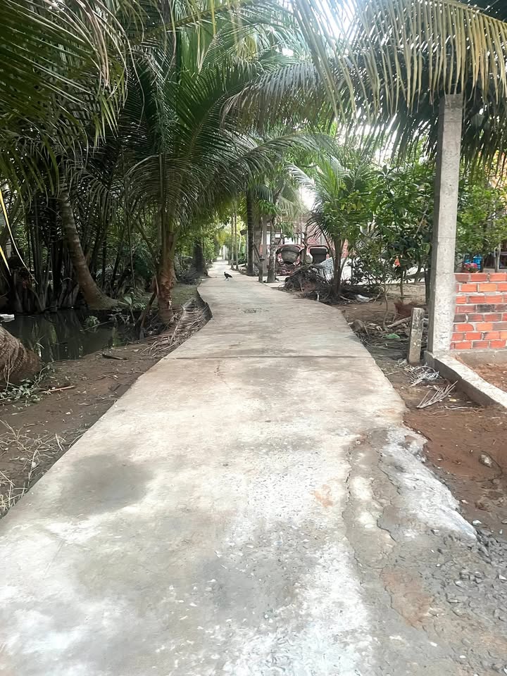 Đất Nền Tiên Thủy, Bến Tre - 342m² Giá Chỉ 300 Triệu