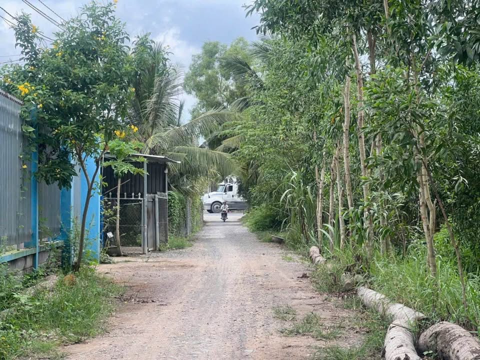 Đất Vườn Dừa 2099m² Cẩm Mỹ, Đồng Nai - Giá 4 Tỷ TLC