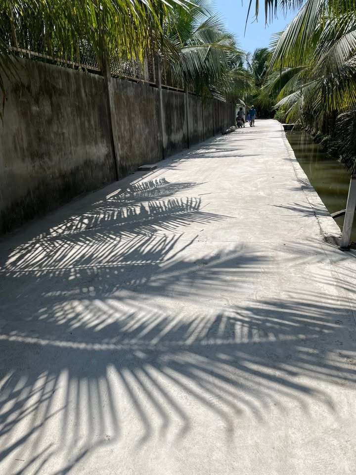 Bán Gấp Đất Vườn Lương Hòa Bến Tre - 530m² Giá 600 Triệu