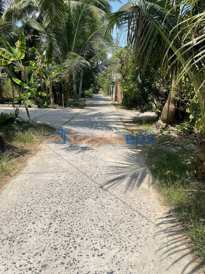 Bán đất nền 338m² mặt tiền 12m tại Châu Thành, Bến Tre - Sổ hồng riêng, giá 840 triệu