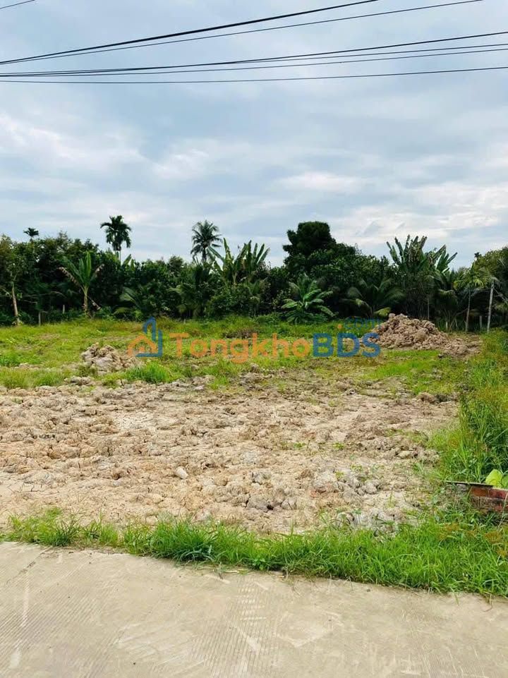 Đất Nền 300m² Xã Phú Đức, Châu Thành, Bến Tre - Giá Tốt 650 Triệu