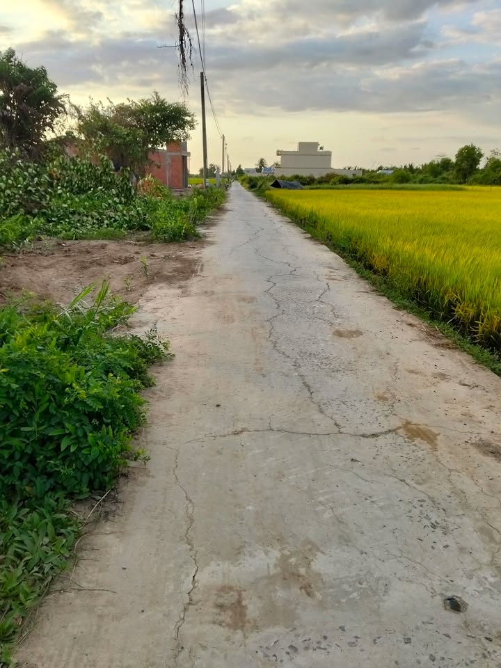 Bán Gấp 2 Nền Đất Vàng Ông Non, Tiền Giang - 520 Triệu/Nền