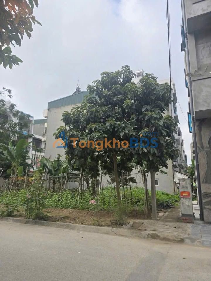 Nhà Mặt Tiền Rộng 8.5m, 76.68m² - Vị Trí Vàng Trường Chinh, TP. Hải Dương