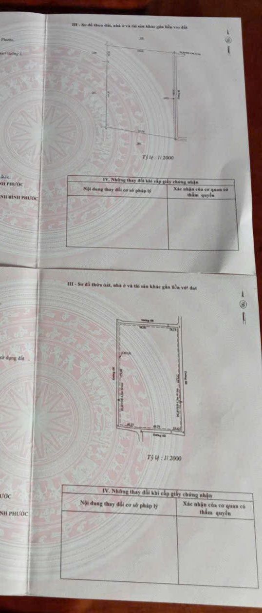 Bán Đất Vườn Thơm Phức 42000m² - 4 Mặt Tiền, Giá 11 Tỷ