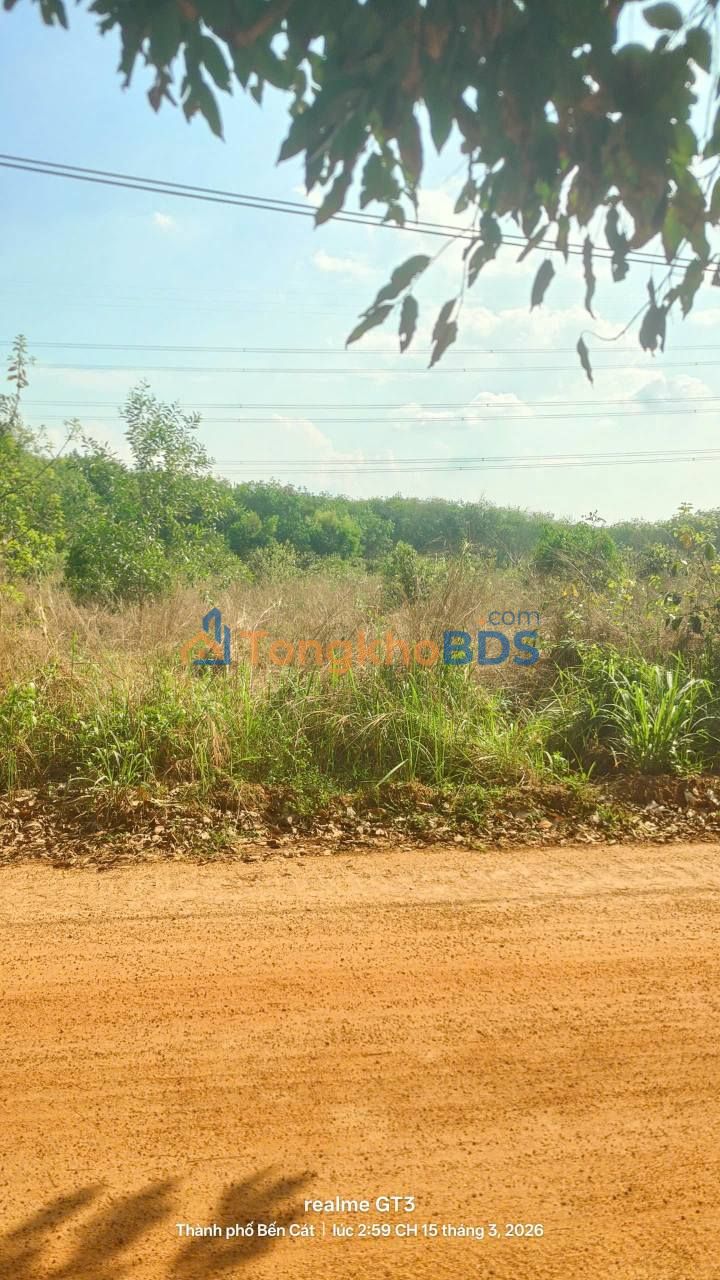 Đất nền An Điền Bến Cát 270m² 1.2 tỷ - Sổ đỏ chính chủ