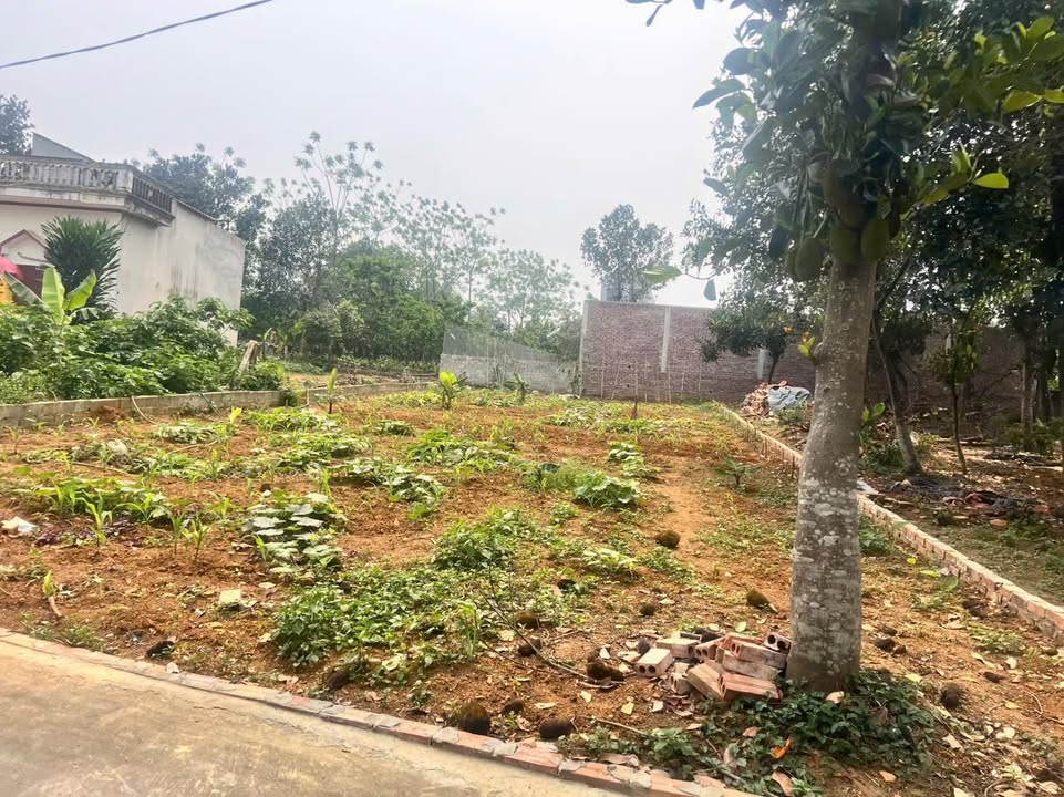 Đất Nền 140m² Lõi Khu CNC Hòa Lạc - 2 Mặt Tiền, Full Thổ Cư, Giá Đầu Tư