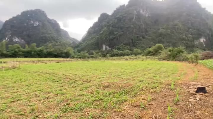 Đất Nền Nghỉ Dưỡng Lương Sơn 7000m² - View Đồi Núi Triệu Đô